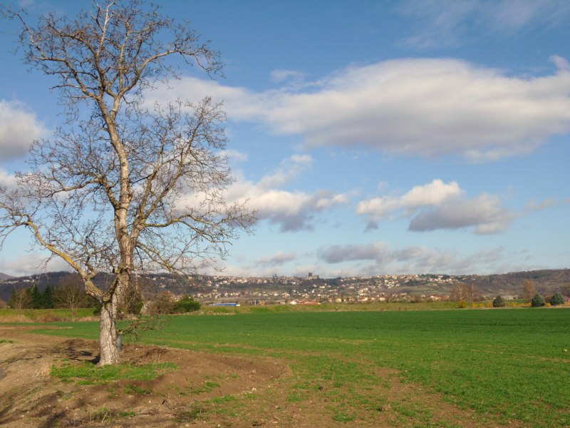 Photo du terrain