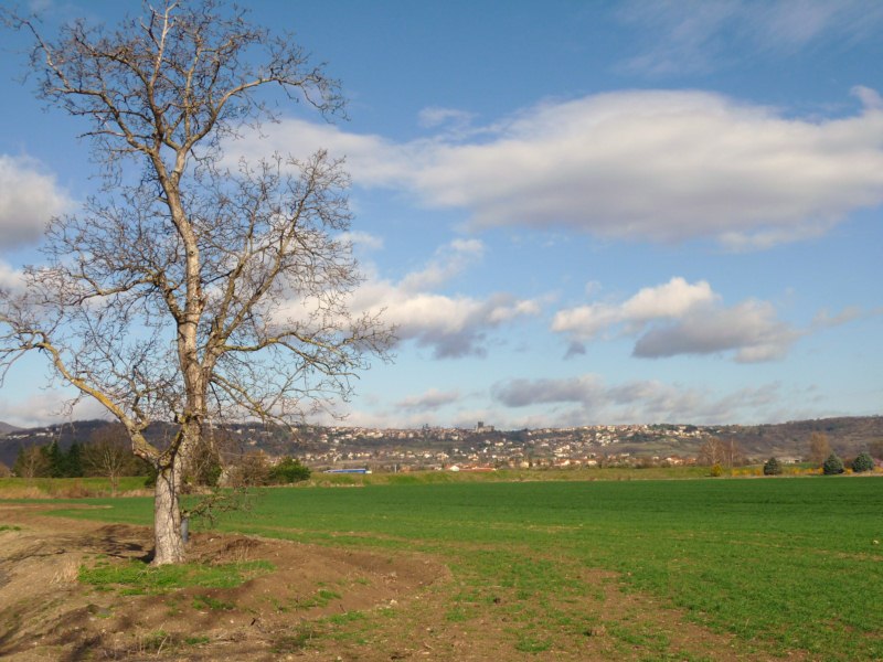 Photo du terrain