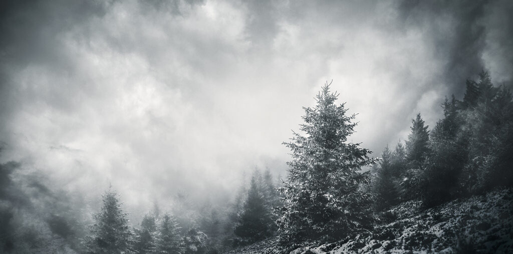 Nouvelle exposition dans le hall d'assemblia