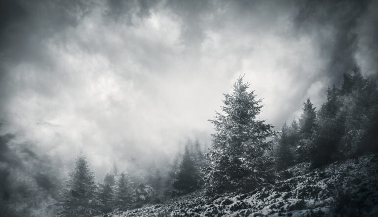 Nouvelle exposition dans le hall d'assemblia